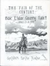 1999 Camille Young Box Elder County Fair Book
