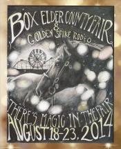 2014 Lisa Anderson Box Elder County Fair Book