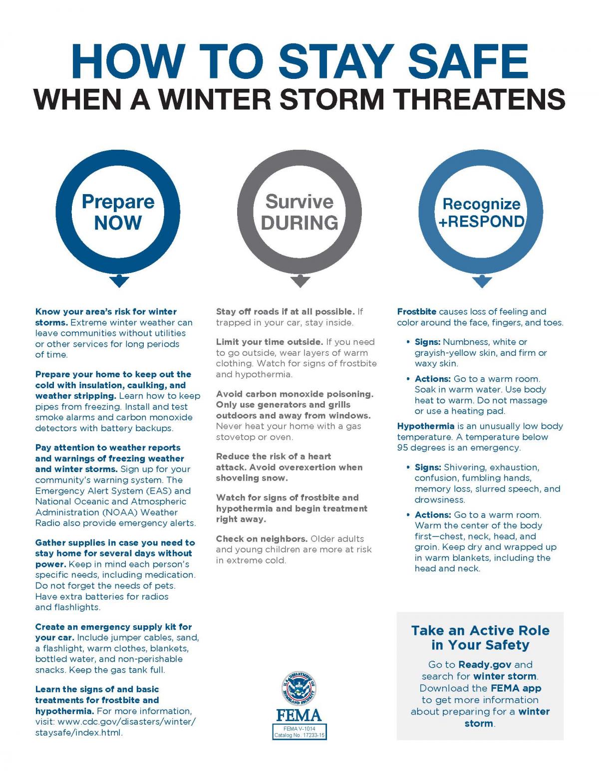 Infographic Stay Safe Winter Storm